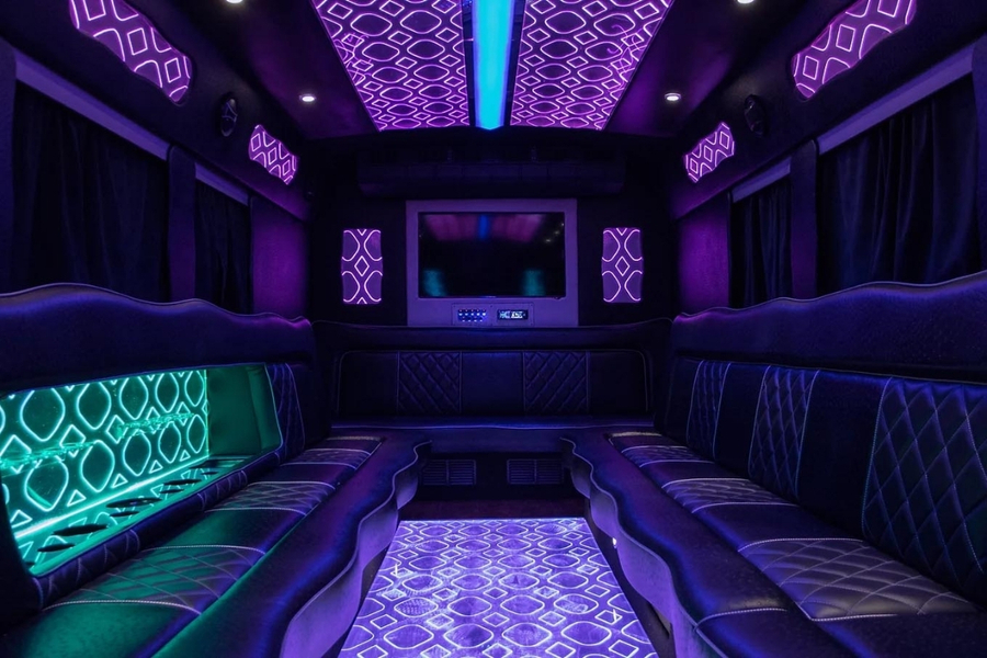 Amy Party Bus