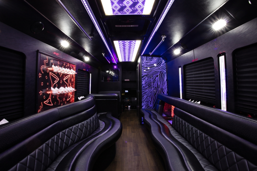 Sophia Party Bus