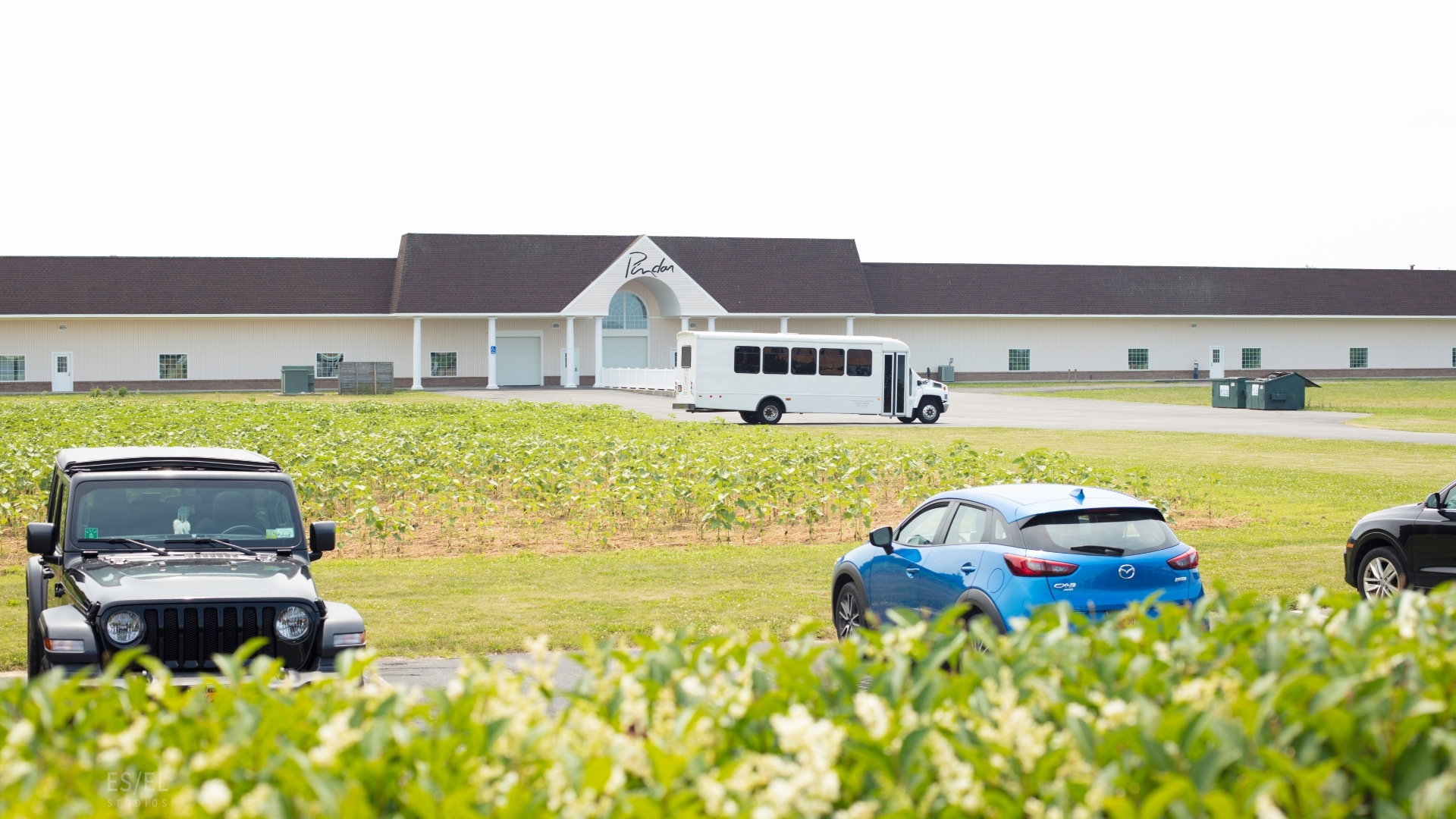 Pindar-Vineyards