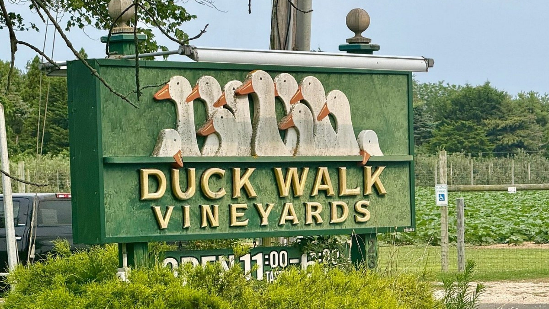 Duck-Walk-Vineyards